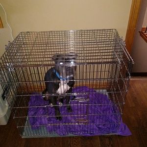 Meet your Posher, Ricky